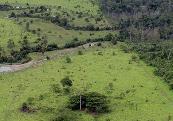 Governo prorroga prazo para georreferenciamento de imóveis rurais