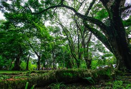 Parque do Horto recebe ações voltadas à mulher neste sábado (21)