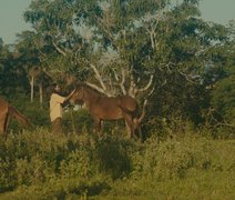 Cantor alagoano lança videoclipe inspirado em memória afetiva