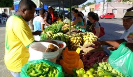 Penedo realiza Feira da Agricultura Familiar esta semana