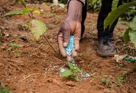 Alta dos fertilizantes ameaça produção agrícola do Brasil em 2027