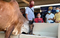 Parque da Pecuária recebe, em média, dois mil visitantes por dia na 71ª Expoagro.