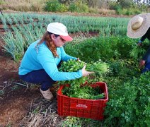 Governo Federal anuncia abertura do sistema do PAA para Compra com Doação Simultânea da Agricultura Familiar