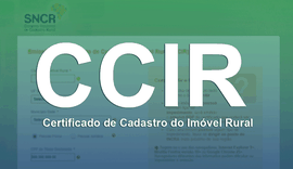 Faeal auxilia produtores na emissão do CCIR 2019