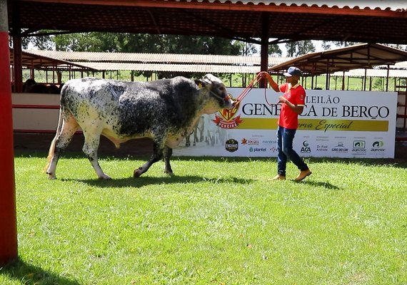 7º Genética de Berço é oportunidade para melhorar performance do rebanho