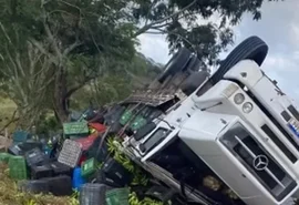 Caminhão carregado de bananas tomba na AL-220, em São José da Tapera