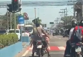 Homens são flagrados levando porco vivo em moto em Belford Roxo