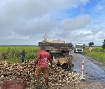 Caminhão carregado de inhame tomba na BR-101 em São Miguel dos Campos