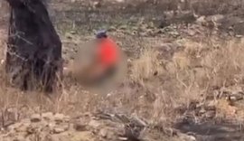 Homem é flagrado cometendo abuso sexual contra cadela em praça na Bahia