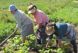 Unicafes AL aponta desaceleração do mercado