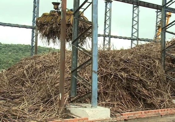 Cana de fornecedor deve ter redução acima de 18%