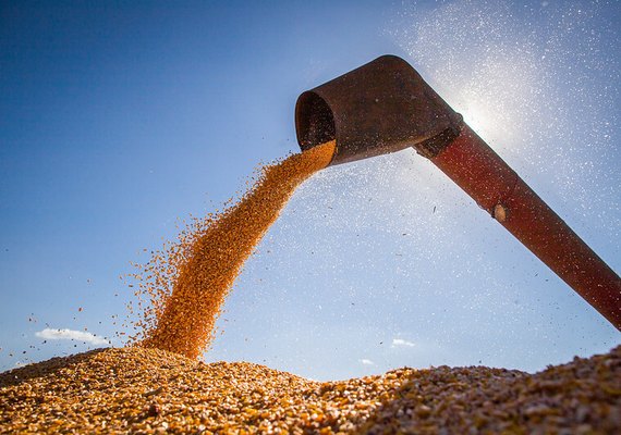 Campo Futuro levanta custos de produção de quatro cadeias produtivas