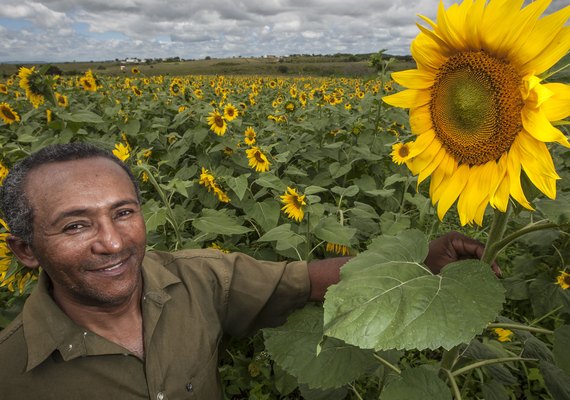 Combustível Social: 40 mil cooperados serão beneficiados