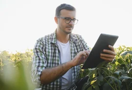 Embrapa desenvolve tecnologia para prever produtividade agrícola com uso de imagens de satélite