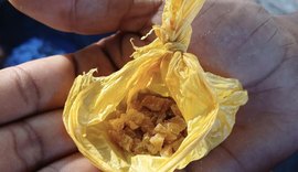 Guarda Civil Municipal apreende 85 pedras de crack na orla de Ponta Verde