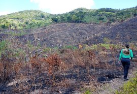 Período seco e baixa umidade em Alagoas aumentam riscos de queimadas, alerta IMA