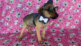 FOFURA: Feira de Adoção realizada no Maceió Shopping assegura cinco adoções responsáveis