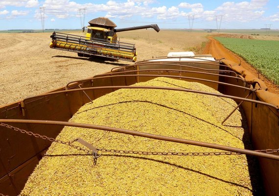 Conab prevê 289,6 milhões de toneladas na safra de grãos de 21/22