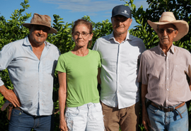 Cooperativa apoia cafeicultores para ampliar competitividade no mercado