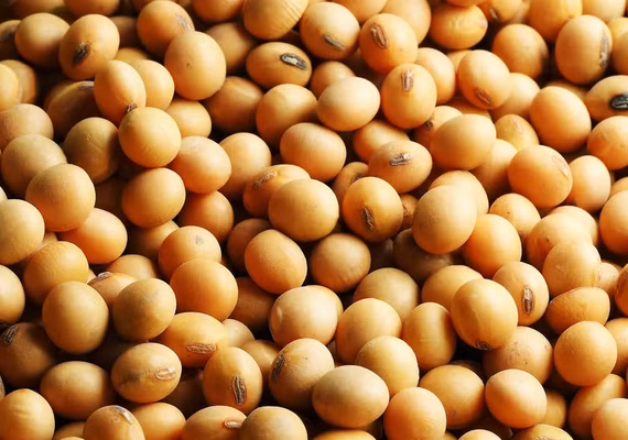 Preço da soja no Brasil segue em trajetória de queda