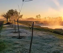 Frente fria chega e levará temperatura para abaixo de 0°C; veja onde