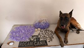 Drogas prontas para comercialização são apreendidas em Arapiraca