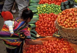 América Latina e Caribe precisam acelerar recuperação econômica
