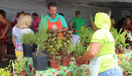 Feira Orgânica na Praia será no domingo,14, na orla de Maceió