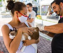 Prefeitura leva vacinação antirrábica neste domingo à Rua Aberta, na Ponta Verde