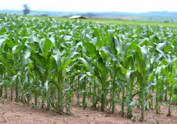 Fenômeno La Niña ganha força e pode durar até 2023