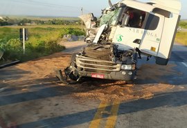 Colisão de caminhão gera derramamento de óleo na pista em Junqueiro