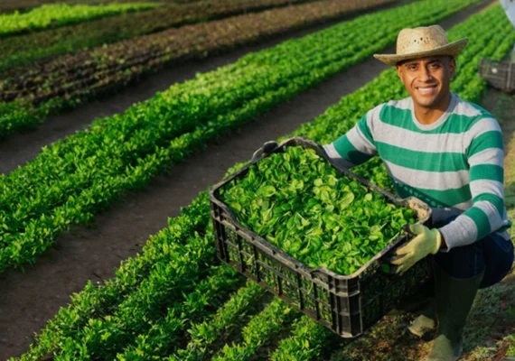 Sucessão no campo e o desafio da nova geração: o futuro das cooperativas agro em jogo