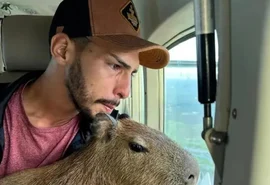 Tiktoker que criava capivara entrega bicho ao Ibama