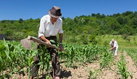 Agricultura familiar pede revisão de critérios do Pronaf