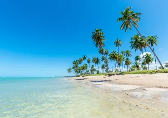 Japaratinga lança primeira revista digital para impulsionar turismo
