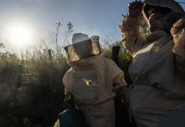 Cooperativas impulsionam negócios através da exportação e impactam o setor nacional