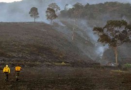 Área de preservação da Estação Ecológica de Murici é atingida por incêndio