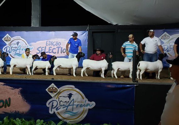 Leilões da Expoagro/AL trazem as melhores genéticas do mercado