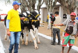 Parque Mair Amaral está pronto para 36ª Expo Bacia Leiteira