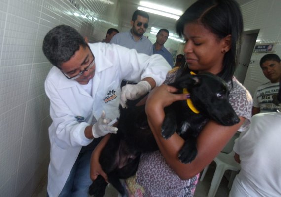 Raiva: confira os locais de vacinação em Maceió neste sábado