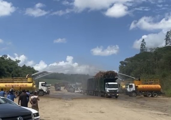 Usina Santa Clotilde finaliza safra com crescimento de 10%