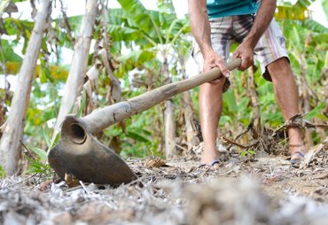 Banco do Nordeste destina R$ 608 milhões à agricultura familiar em Alagoas