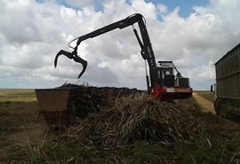 Usina Coruripe registra maior safra da sua história