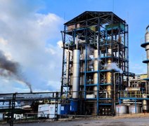 Cooperativa Pindorama celebra 69 anos de desenvolvimento econômico e cultural