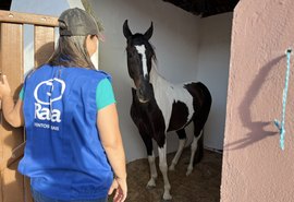 72ª Expoagro Alagoas abre vendas de mangalarga marchador no Shopping de Animais