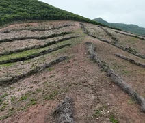 FPI registra maior desmatamento em 15 etapas de fiscalização em Alagoas