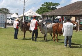 Abertura oficial da Expoalagoas Genética acontece nesta quarta (15)
