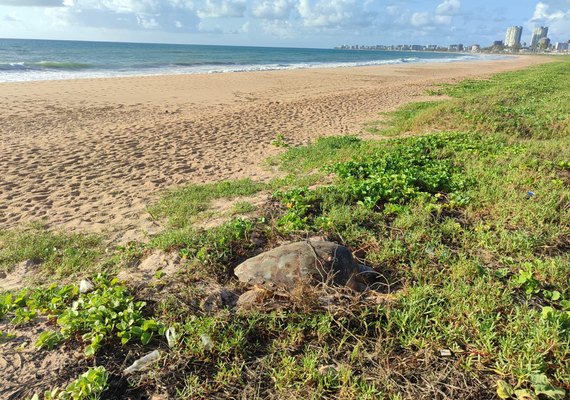 Entidades denunciam ao MPF crime ambiental e alteração no curso do Rio Jacarecica, em Maceió