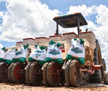 Projeto Maná reforça agricultura familiar em Coruripe