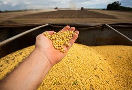 CNA debate impactos climáticos na safra de soja e milho